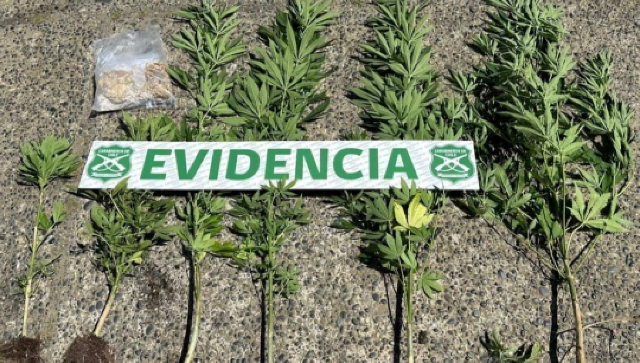 /dos-personas-detenidas-por-infraccion-a-la-ley-de-armas-y-a-la-ley-de