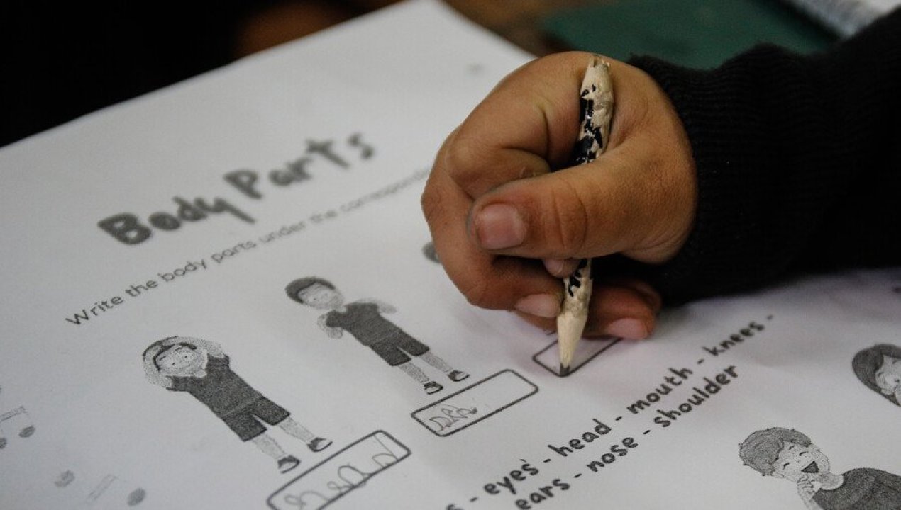 /actualidad/educacion/comienza-debate-parlamentario-por-polemica-reforma-al-sae-gobierno-busca